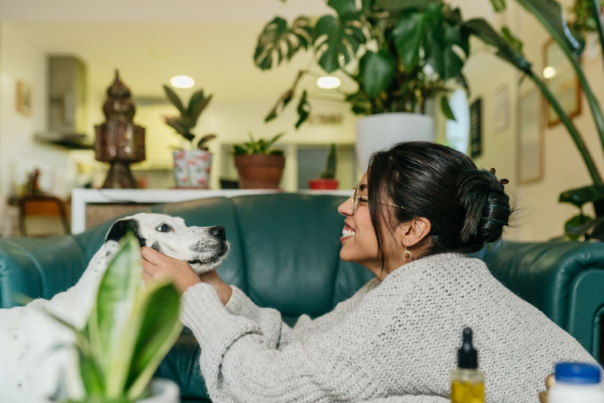 Pet cremation vs pet burial - how to choose what is right for you. Buddy support resources for pet loss.