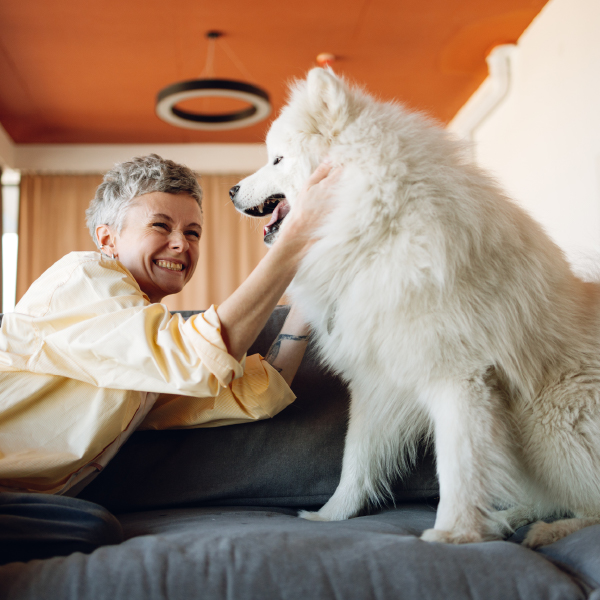 Woman smiling and looking at her samoyed on the couch. The samoyed is similing back. Pet cremation services.